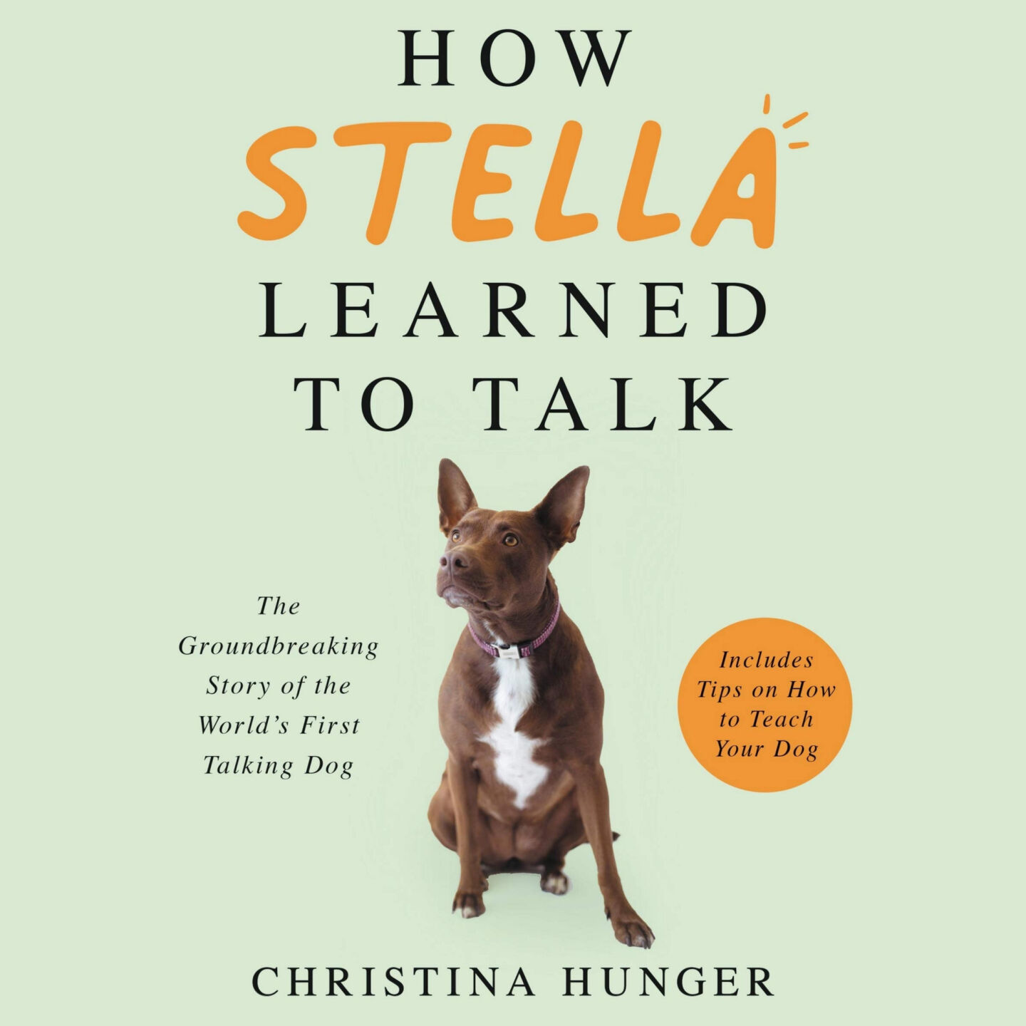 You can teach your dog to talk?
